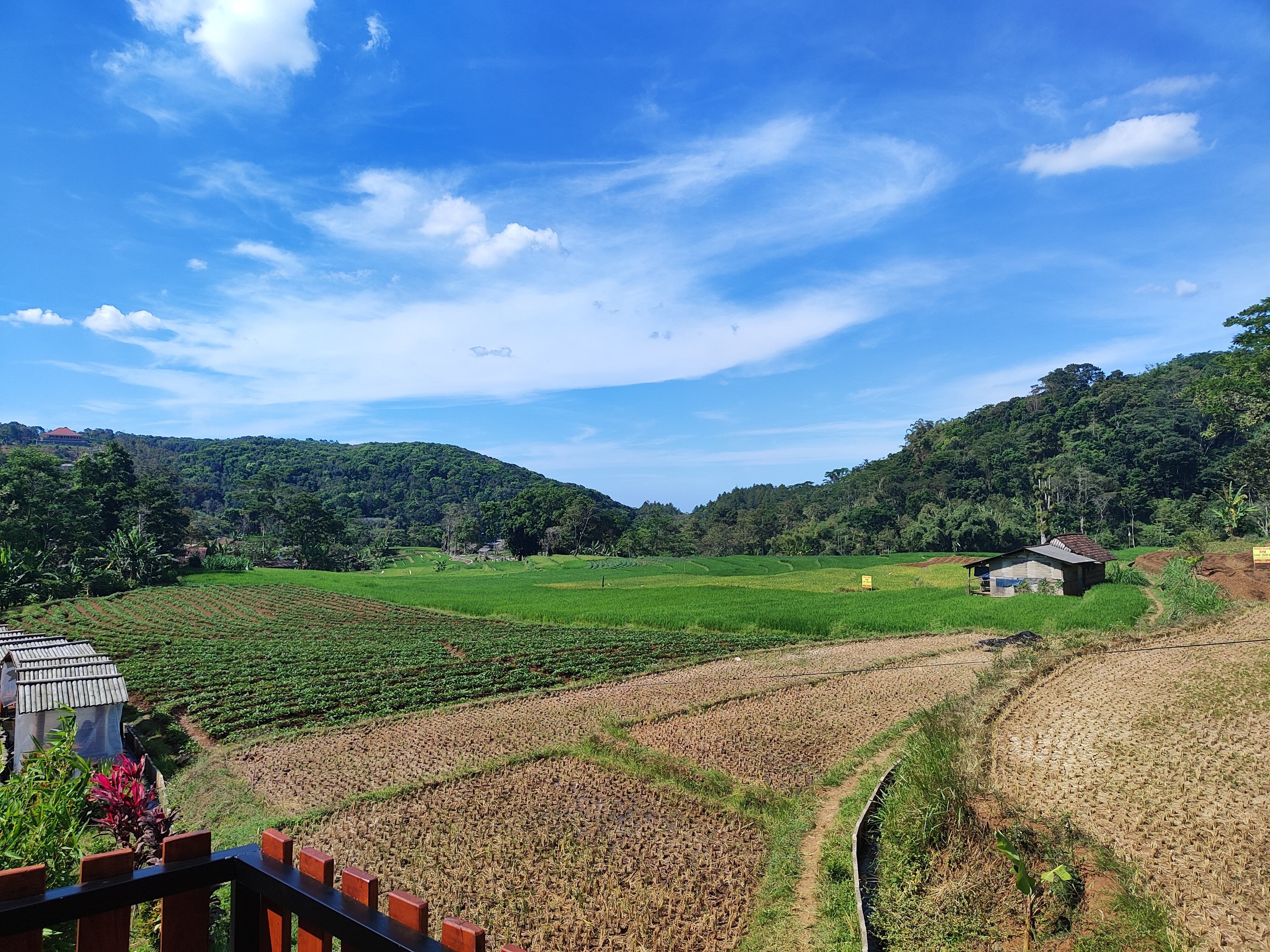 Pemandangan alam seperti pegunungan dan sawah yang akan memanjakan mata